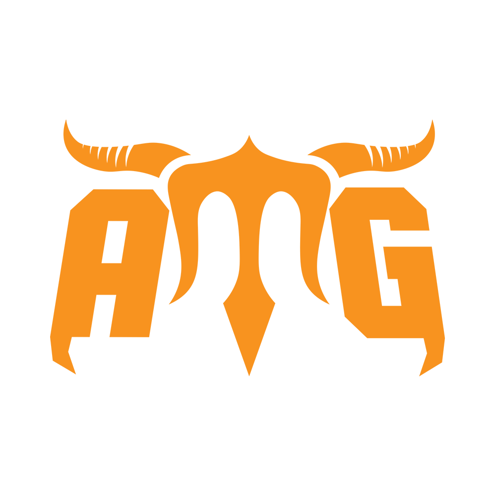 AMG ESPORTS