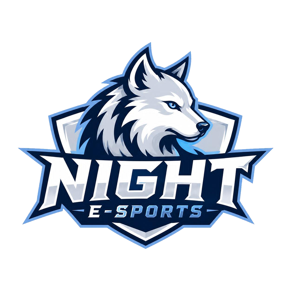 NIGHT E-SPORTS