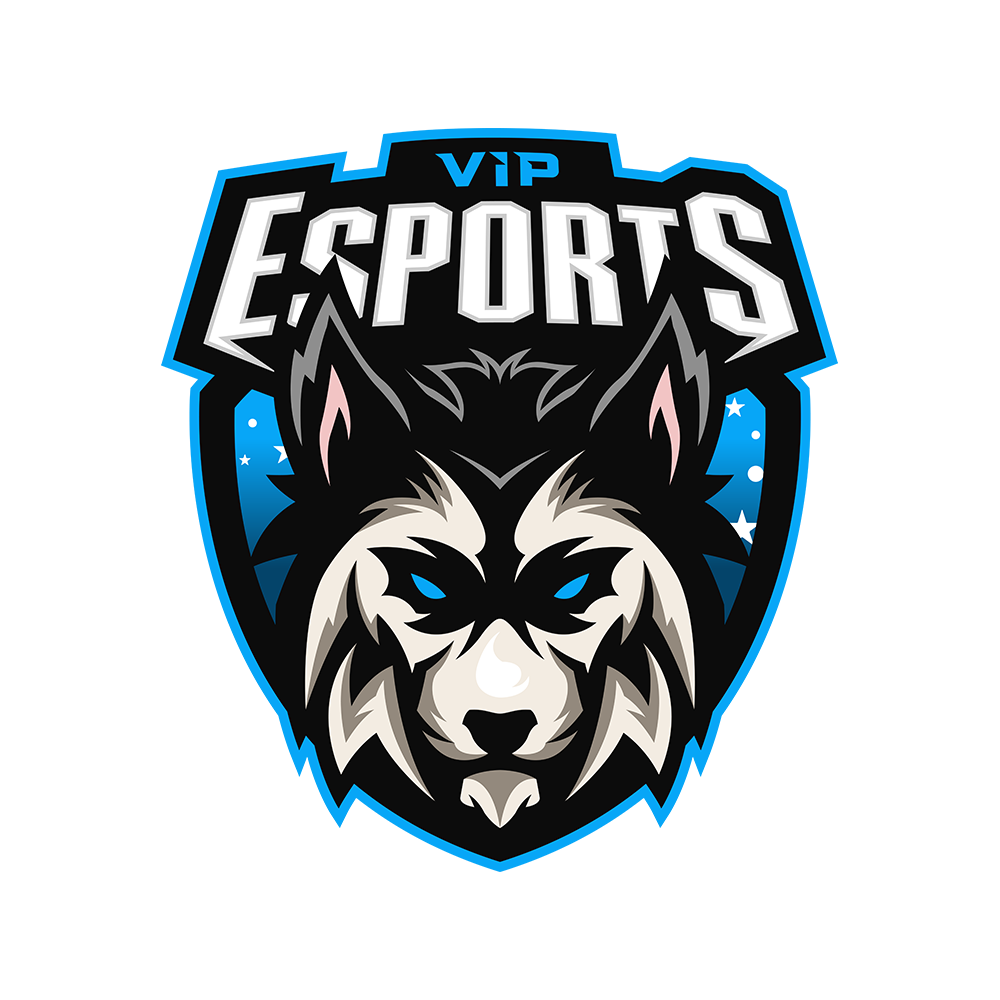 VIP ESPORTS